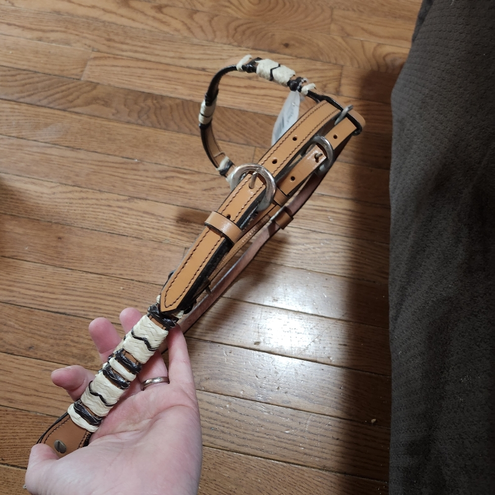 Headstall & Reins